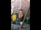 brazilian women outdoor striptease